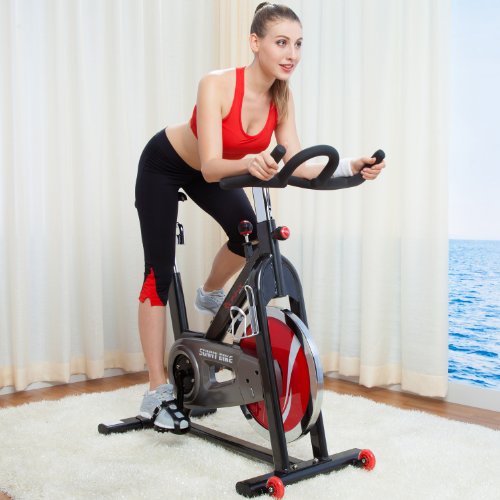 sunny-health-fitness-belt-drive-indoor-cycling-bike-grey-0-1.jpg